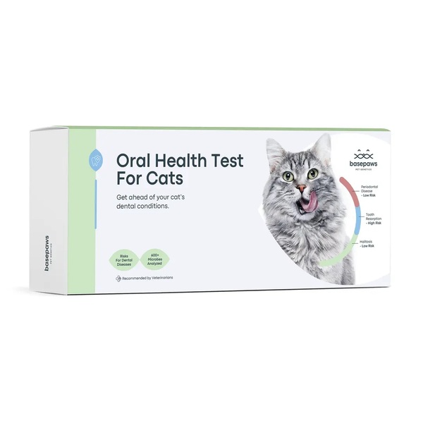 Basepaws Review: What Pet Owners Should Know Before Testing Their Cat or Dog
