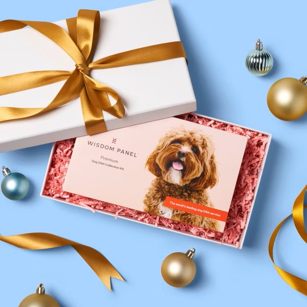 Basepaws vs Wisdom Panel: Which One Gives Pet Parents Better Answers