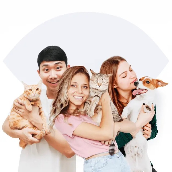 Basepaws vs Wisdom Panel: Which One Gives Pet Parents Better Answers