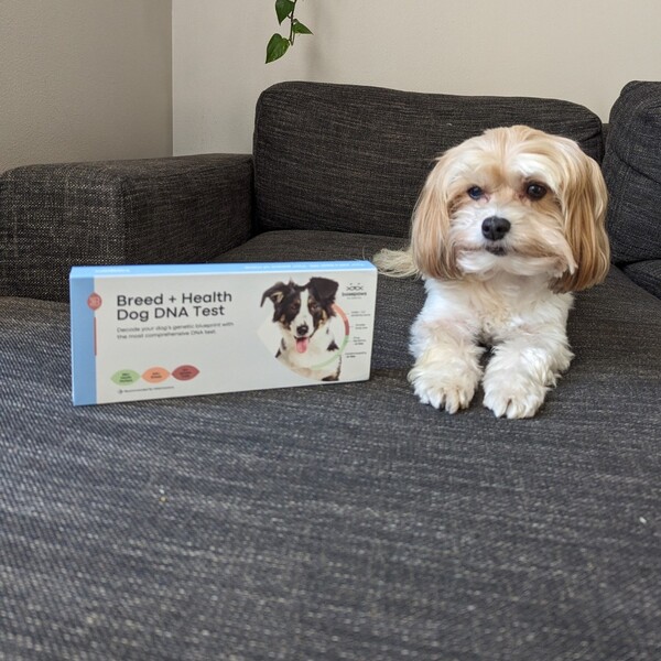 Basepaws vs Wisdom Panel: Which One Gives Pet Parents Better Answers