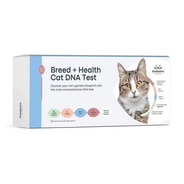 5 Best Cat DNA Test Kit: Reviews and Buying Guide 2025