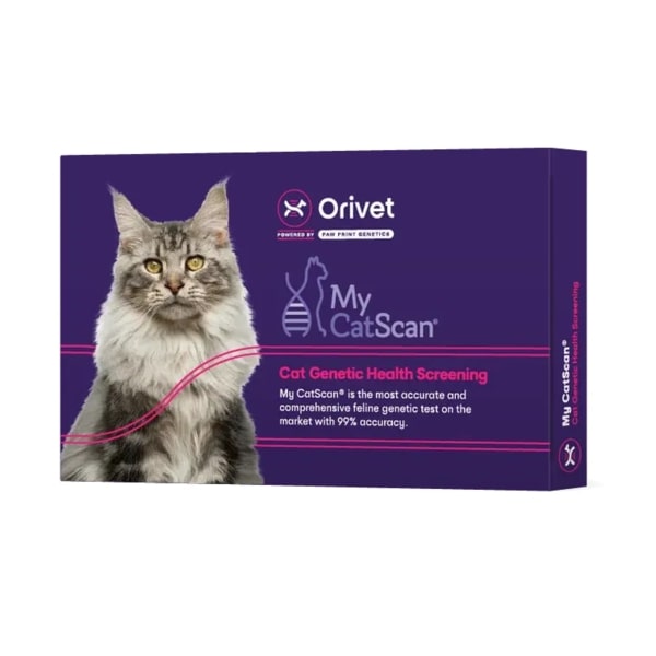 10 Best Cat DNA Test Kit: Reviews and Buying Guide 2025