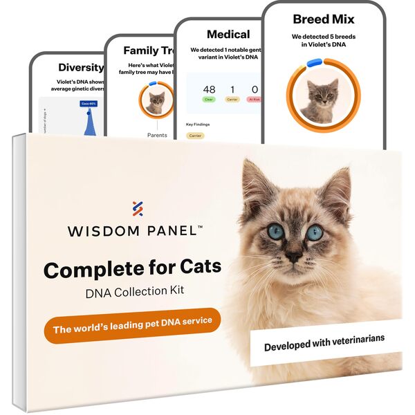 10 Best Cat DNA Test Kit: Reviews and Buying Guide 2025