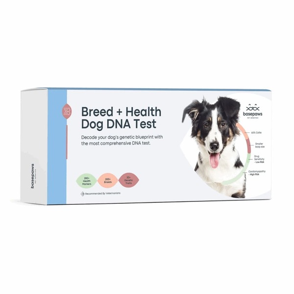 10 Best Dog DNA Test Kit for Accurate Breed and Health Insights