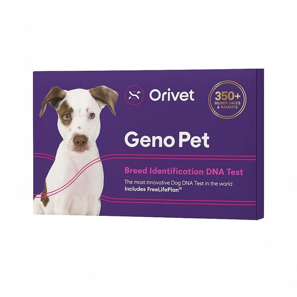 10 Best Dog DNA Test Kit for Accurate Breed and Health Insights 10 10 Best Dog DNA Test Kit