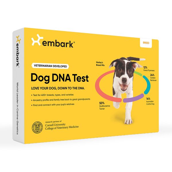 10 Best Dog DNA Test Kit for Accurate Breed and Health Insights 6 10 Best Dog DNA Test Kit
