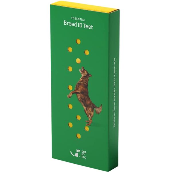 10 Best Dog DNA Test Kit for Accurate Breed and Health Insights 8 10 Best Dog DNA Test Kit