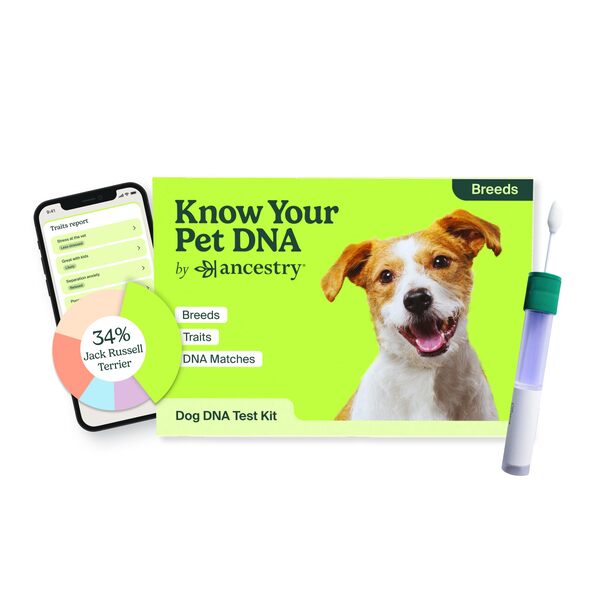 10 Best Dog DNA Test Kit for Accurate Breed and Health Insights 9 10 Best Dog DNA Test Kit