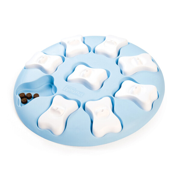10 Best Gifts for Dog & Cat Lovers in 2025