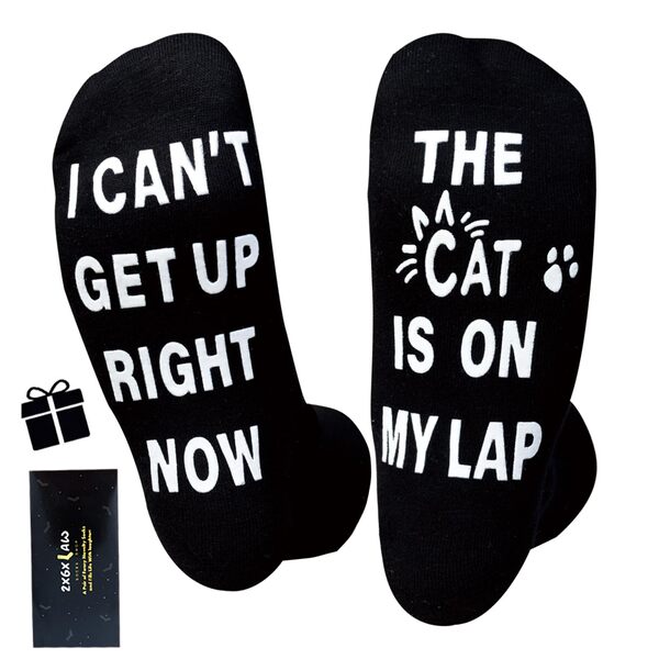 10 Best Gifts for Dog & Cat Lovers in 2025