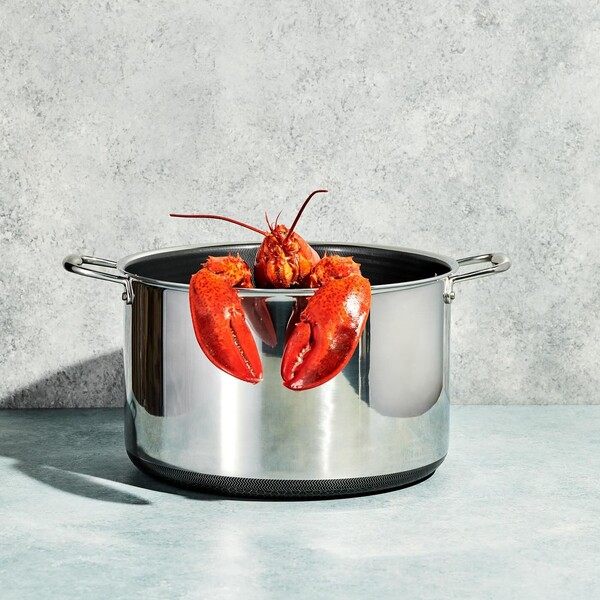 Caraway vs Hexclad: Which One’s Worth Bringing Home?