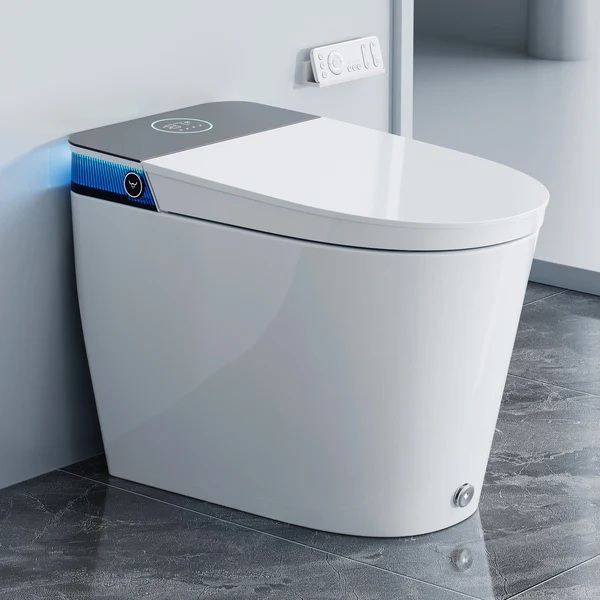 HOROW T38P Smart Toilet Review