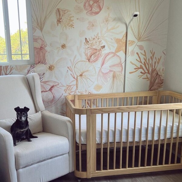 Nanit vs Owlet: Which Baby Monitor Fits Real Parenting Needs? 