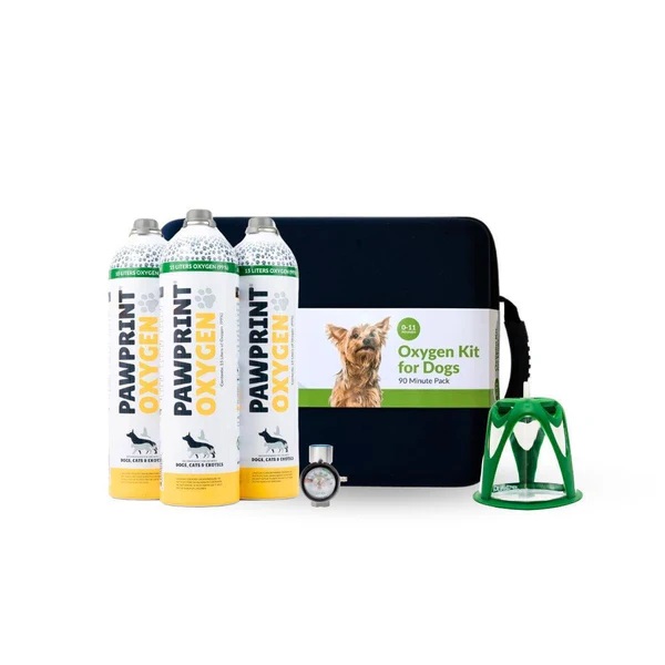 Top Pet Wellness Gifts for Healthy, Happy Dogs