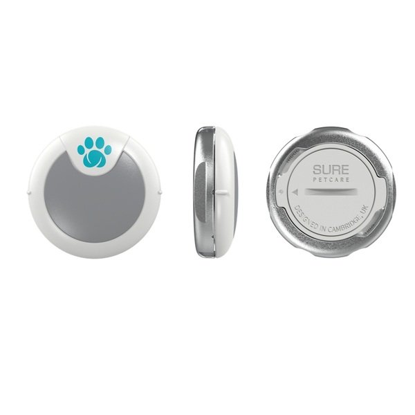 Top Pet Wellness Gifts for Healthy, Happy Dogs