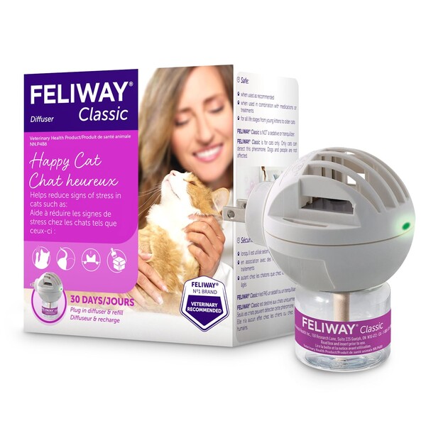 Top Pet Wellness Gifts for Healthy, Happy Dogs