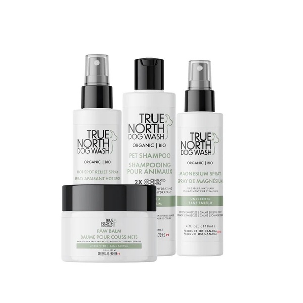 Top Pet Wellness Gifts for Healthy, Happy Dogs