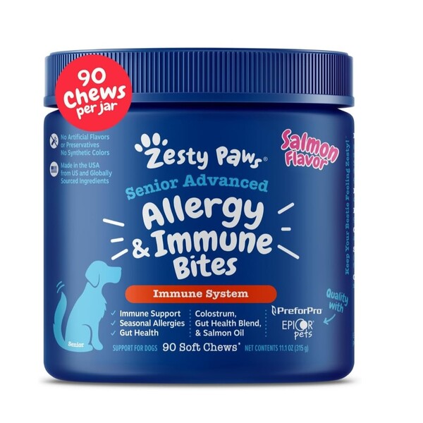 Top Pet Wellness Gifts for Healthy, Happy Dogs