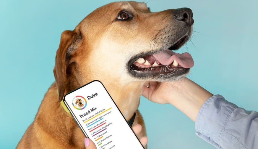 5 Best Dog Health Testing Kits 