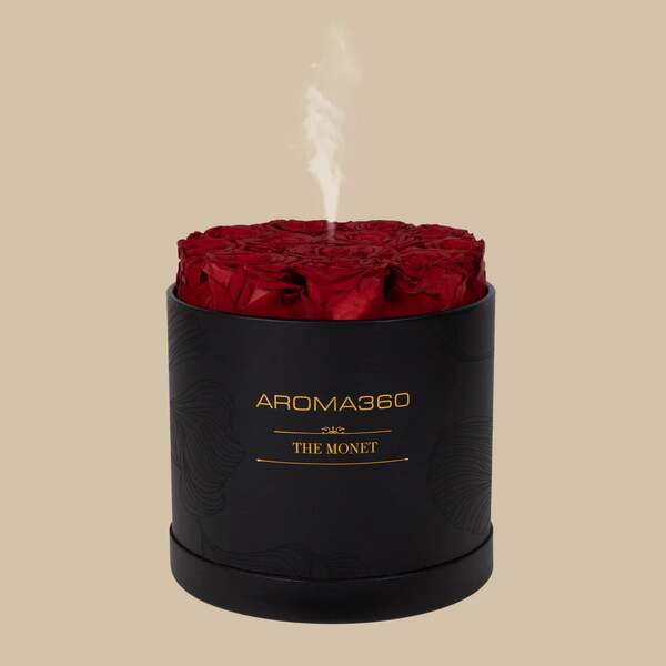 Aroma360 vs AromaTech: Which Brand Fits Your Home Scent Routine?