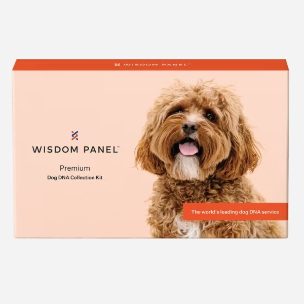 Best Dog Breed DNA Test