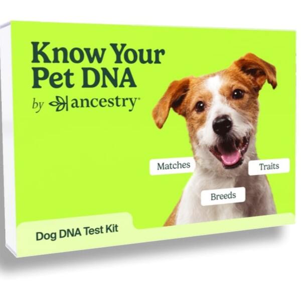 Best Dog Breed DNA Test