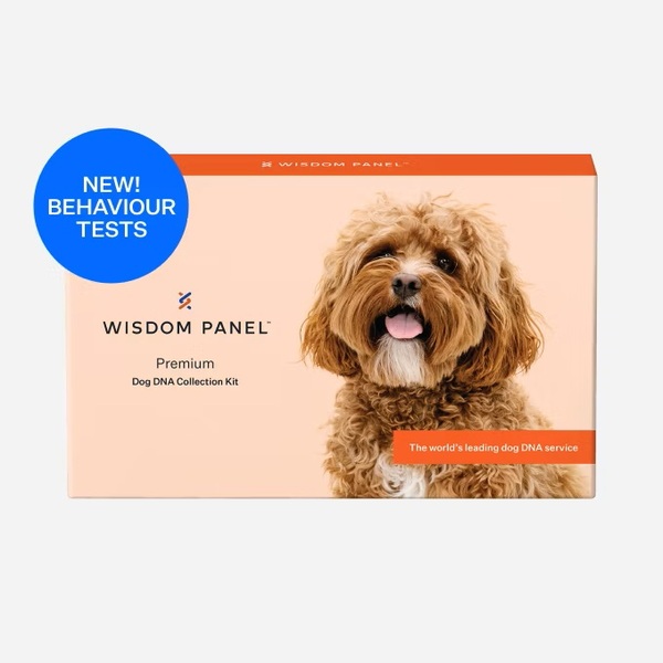 5 Best Dog Health Testing Kit 