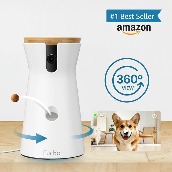 Must-Have Gifts for New Dog Owners