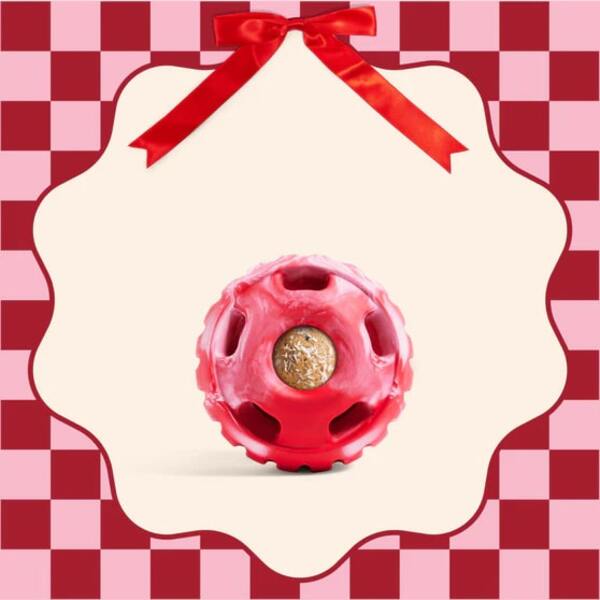 Must-Have Gifts for New Dog Owners