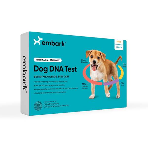 Embark vs Wisdom Panel: What I Learned While Comparing Dog DNA Tests 23 Embark vs Wisdom Panel