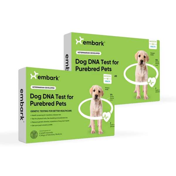 Embark vs Wisdom Panel: What I Learned While Comparing Dog DNA Tests 9 Embark vs Wisdom Panel
