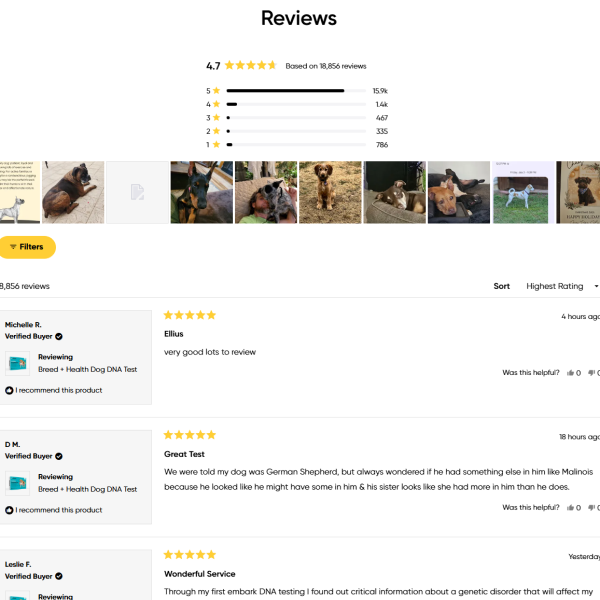 Embark Dog DNA Test Review