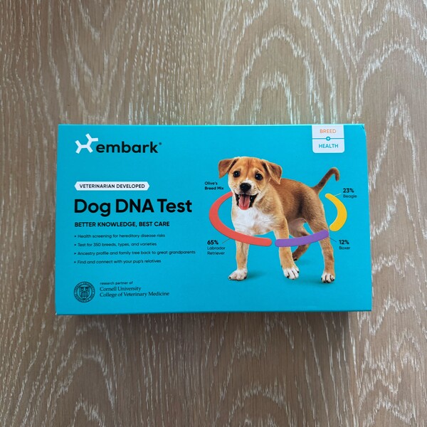 Embark Dog DNA Test Review: My Experience Using Embark DNA Testing for My Rescue Dog, Ale