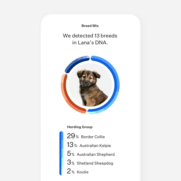 Embark vs Wisdom Panel: What I Learned While Comparing Dog DNA Tests 20 Embark vs Wisdom Panel
