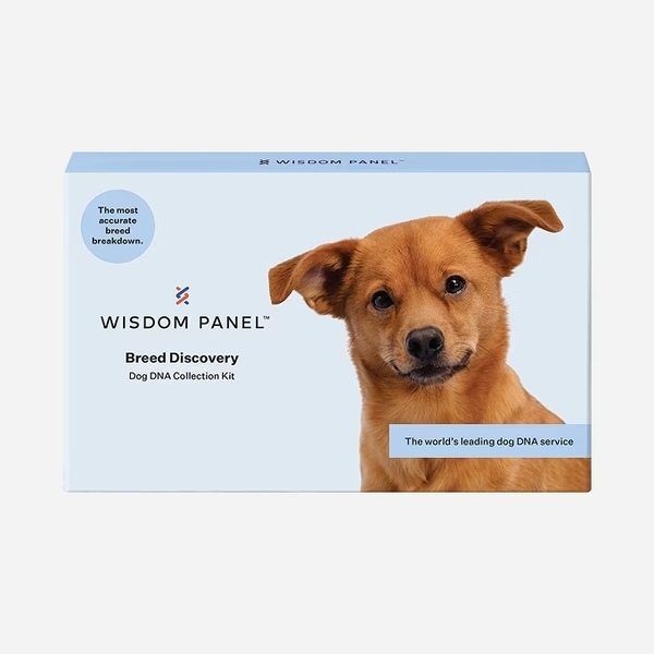 Embark vs Wisdom Panel: What I Learned While Comparing Dog DNA Tests 22 Embark vs Wisdom Panel