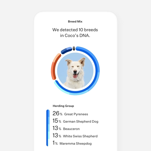 Embark vs Wisdom Panel: What I Learned While Comparing Dog DNA Tests 16 Embark vs Wisdom Panel