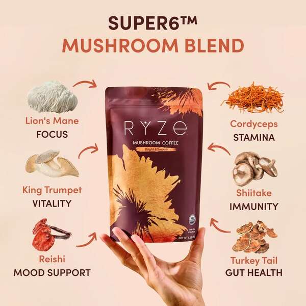 Everyday Dose vs Ryze: Which Coffee With Functional Ingredients Gives You Steadier Energy Day to Day? 10 Everyday Dose vs Ryze