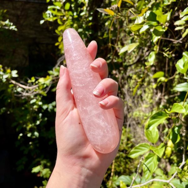 Lovehoney vs. Adam and Eve, Pinkcherry, and Good Vibrations