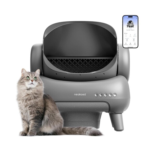 10 Best Pet Gifts for Every Occasion: Top Gifts for Dogs & Cats 7 10 Best Pet Gifts for Every Occasion
