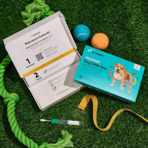 Embark Dog DNA Test Review
