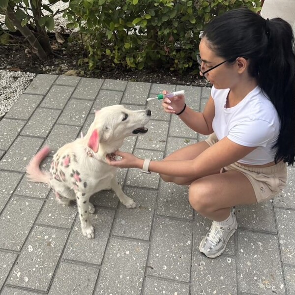 Embark Dog DNA Test Review