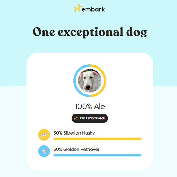 Embark Dog DNA Test Review