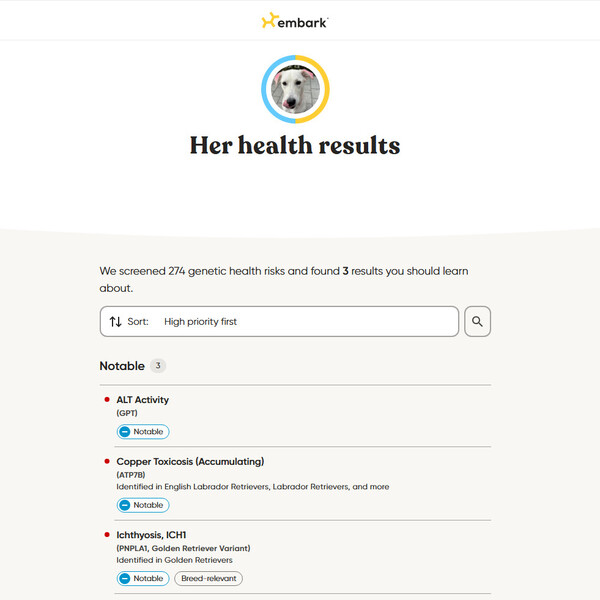 Embark Dog DNA Test Review