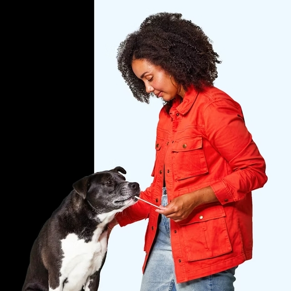 Embark vs Wisdom Panel: What I Learned While Comparing Dog DNA Tests 8 Embark vs Wisdom Panel