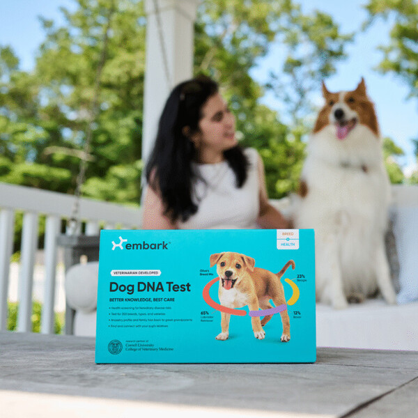 Embark vs Wisdom Panel: What I Learned While Comparing Dog DNA Tests 3 Embark vs Wisdom Panel
