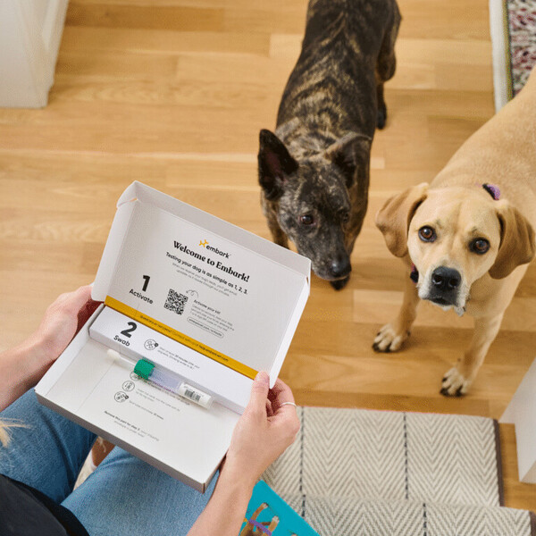 Embark vs Wisdom Panel: What I Learned While Comparing Dog DNA Tests 5 Embark vs Wisdom Panel