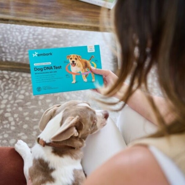Embark vs Wisdom Panel: What I Learned While Comparing Dog DNA Tests 15 Embark vs Wisdom Panel