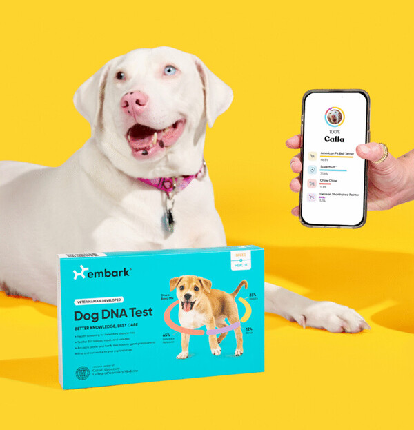 Embark vs Wisdom Panel: What I Learned While Comparing Dog DNA Tests 17 Embark vs Wisdom Panel