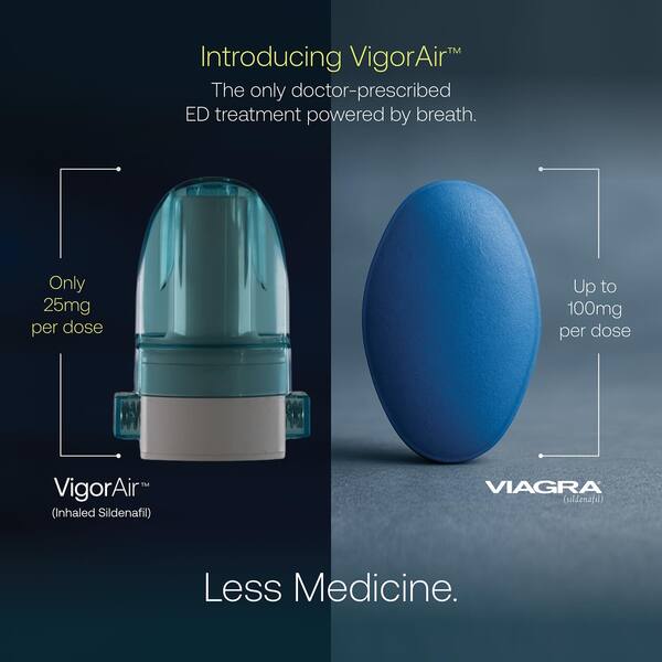 ForHumanity VigorAir Review