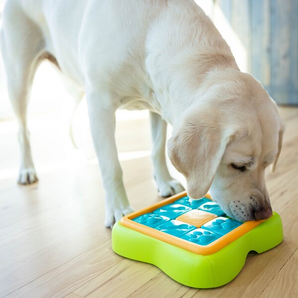National Love Your Pet Day Gift Guide